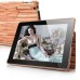 Eco-friendly Wood Design Case Cover For iPad 2 / 3 / 4 - Brownish Red