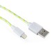 2M Luminous 8 Pin Charging Sync Lightning Cable for iPhone 6 iPhone 5/5s iPad Mini iPod - Green