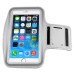 Fashionable Sports Armband For iPhone 6 Plus  - Grey