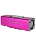 Portable Music Angel Speaker for iPhone iPod Mobile Phone PC U-disk SD (JH-MAUK3) - Magenta