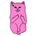 Unique 3D Impolite Cat Silicone Back Case Cover For iPhone 5/5s - Magenta