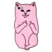 Unique 3D Impolite Cat Silicone Back Case Cover For iPhone 5/5s - Pink